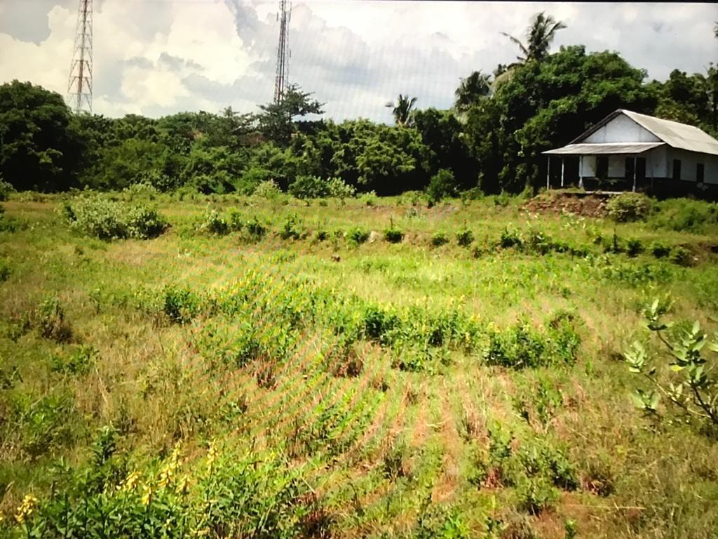 Investment Beachfront Land for Sale in Karangasem