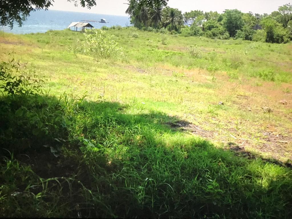 Investment Beachfront Land for Sale in Karangasem