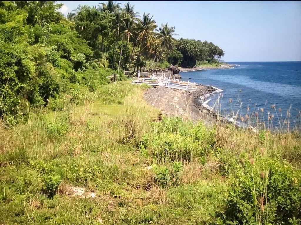 Investment Beachfront Land for Sale in Karangasem